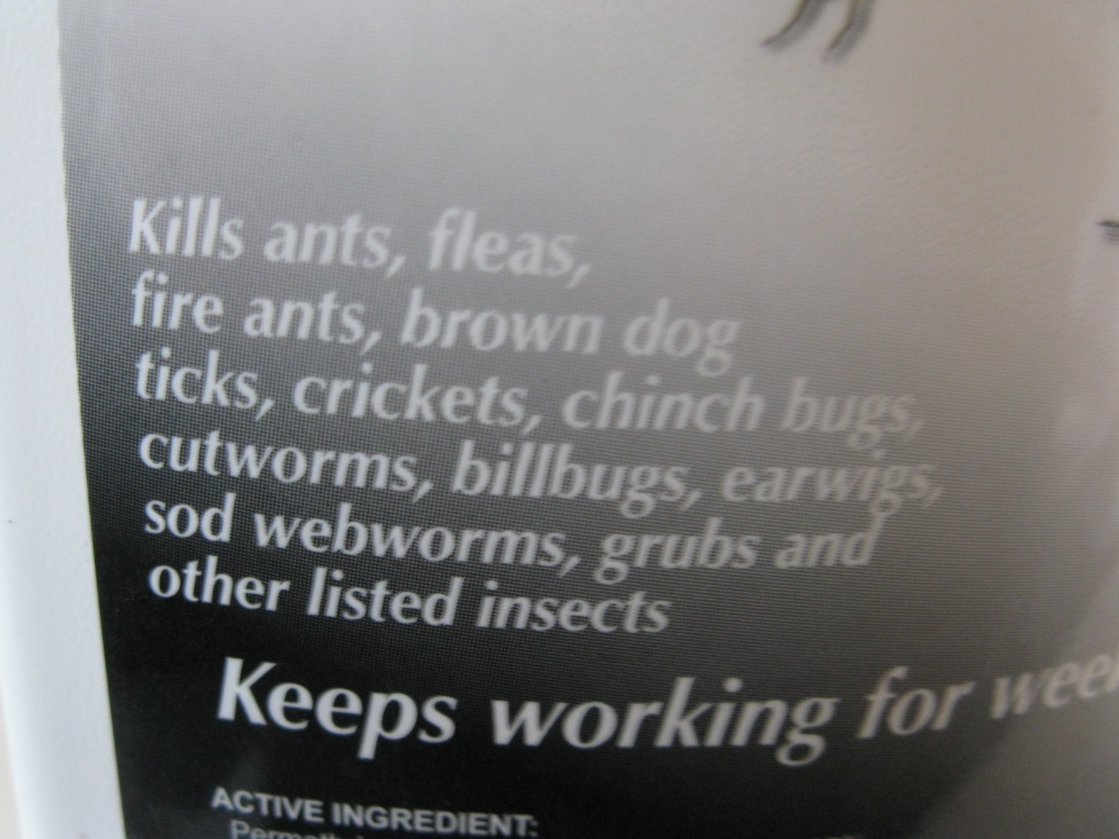 Bonide Ant Killer Granules 1 lb