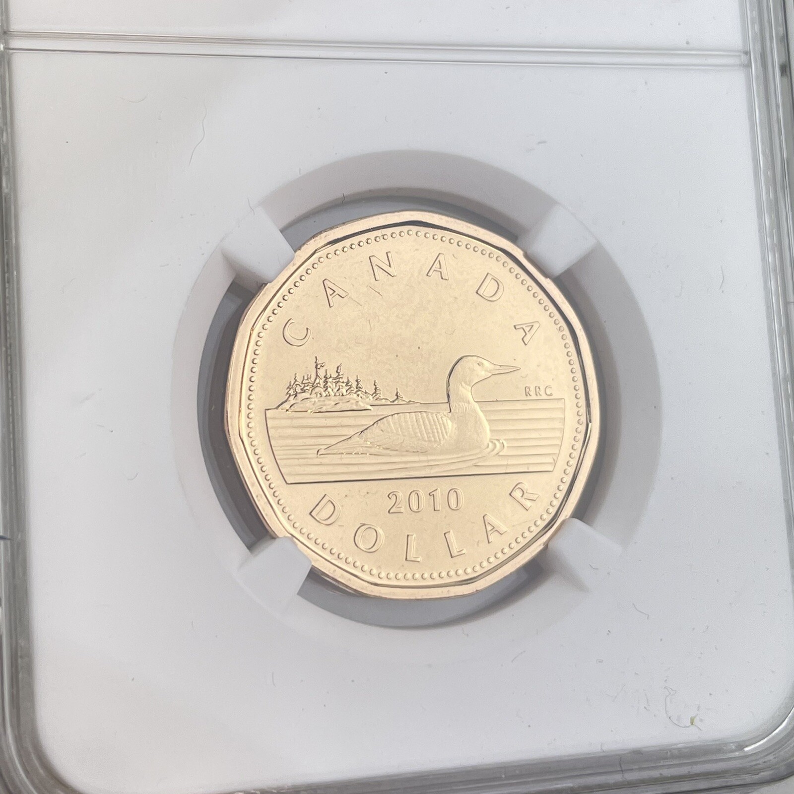 2010 Loon Canada $1 One Dollar MS 65 MS65 NGC Graded