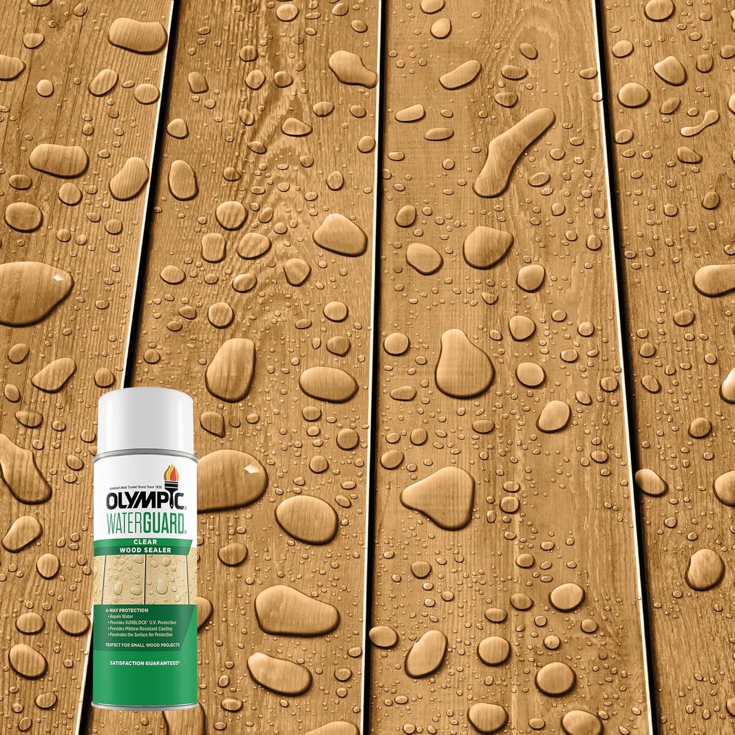 Olympic WaterGuard 11 oz Clear Waterproof Wood Sealer Spray for Exterior Use