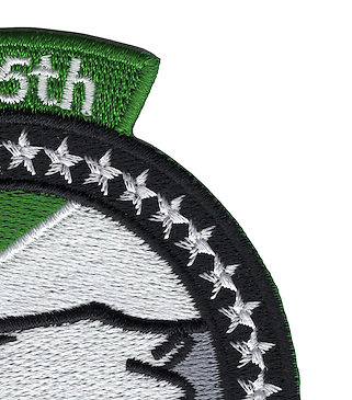555th Fighter Squadron Patch