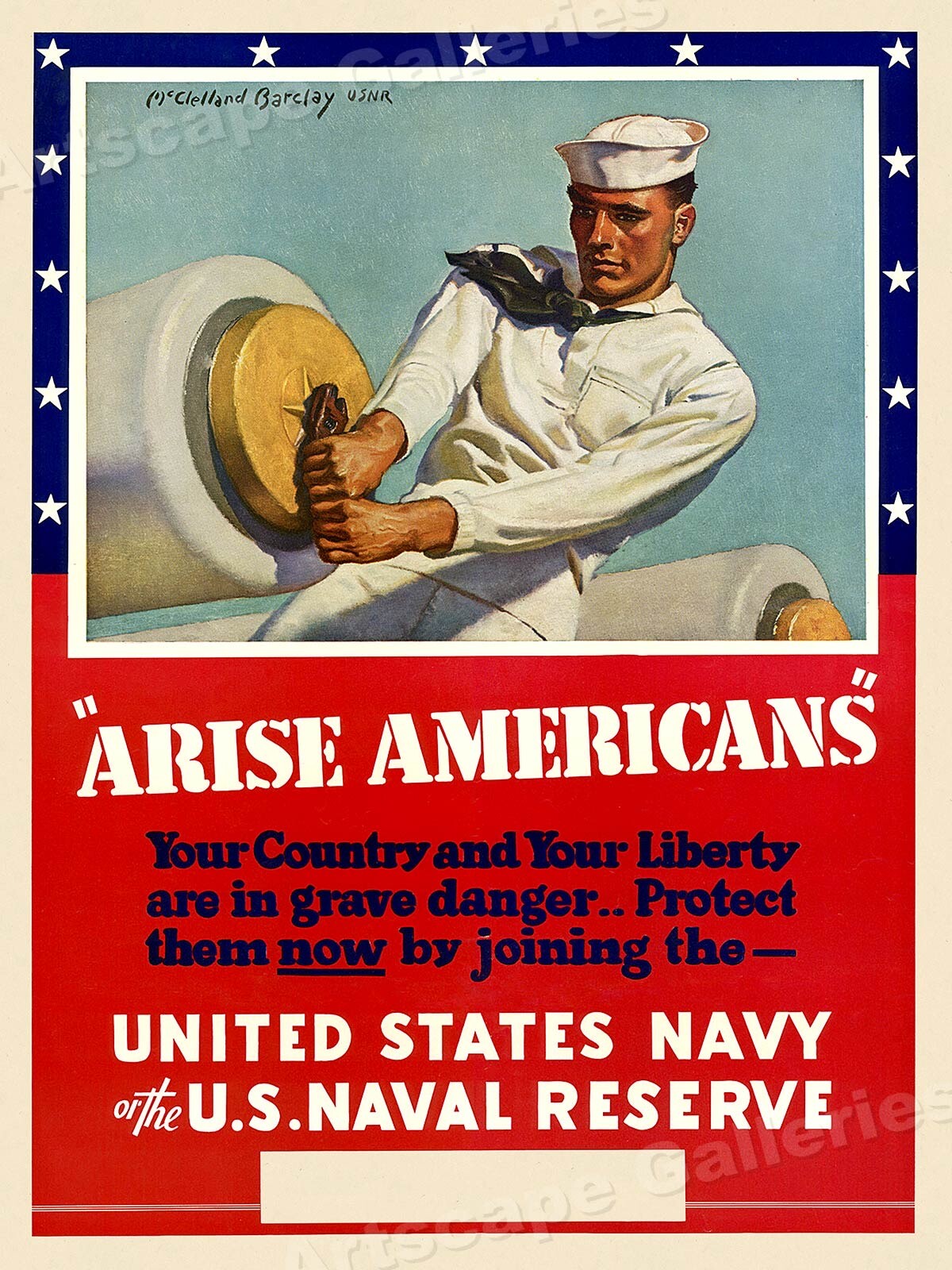 Arise Americans! Your Country is in Grave Danger! WW2 Navy Poster - 18x24