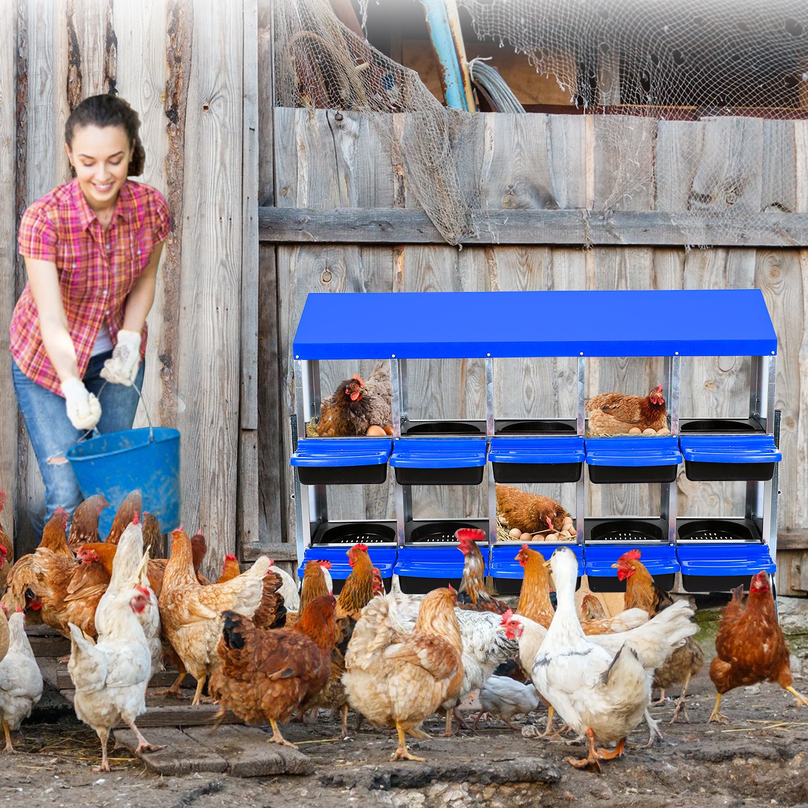 Metal Chicken Nesting Box 10-Compartment Roll Away Nest Box, Protective Lid