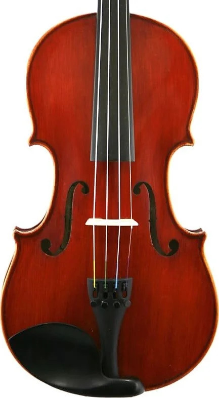 Germantown Violins - Violin Outfit Gafiano Series VLN 105 4/4
