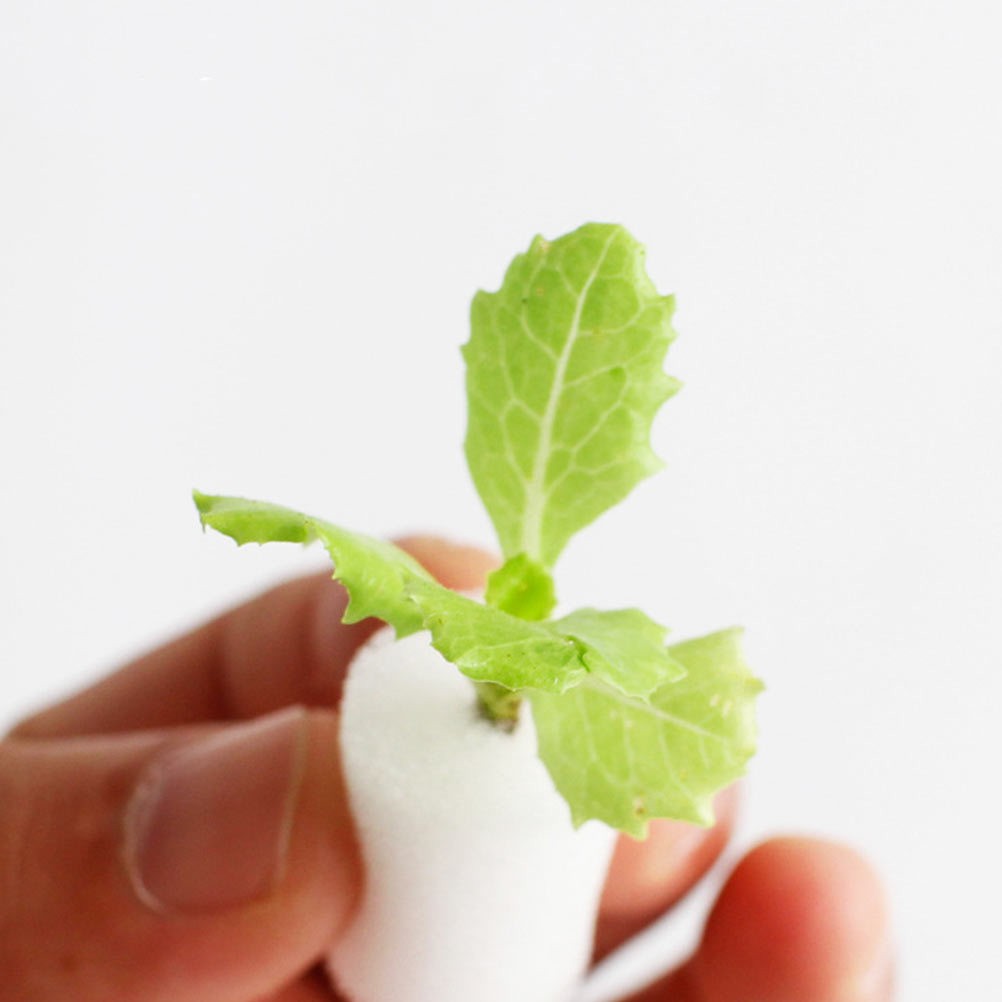 120 Pcs White Soilless Hydroponic Sponge Blocks for Vegetable Growing