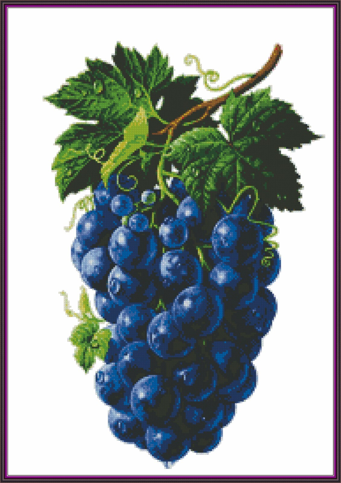 Grape 569 - Chart Counted Cross Stitch Pattern craft