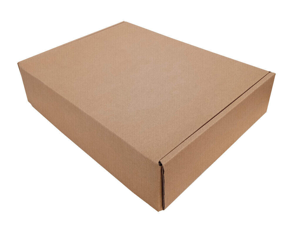 SHIPPING Upgrade express delivery