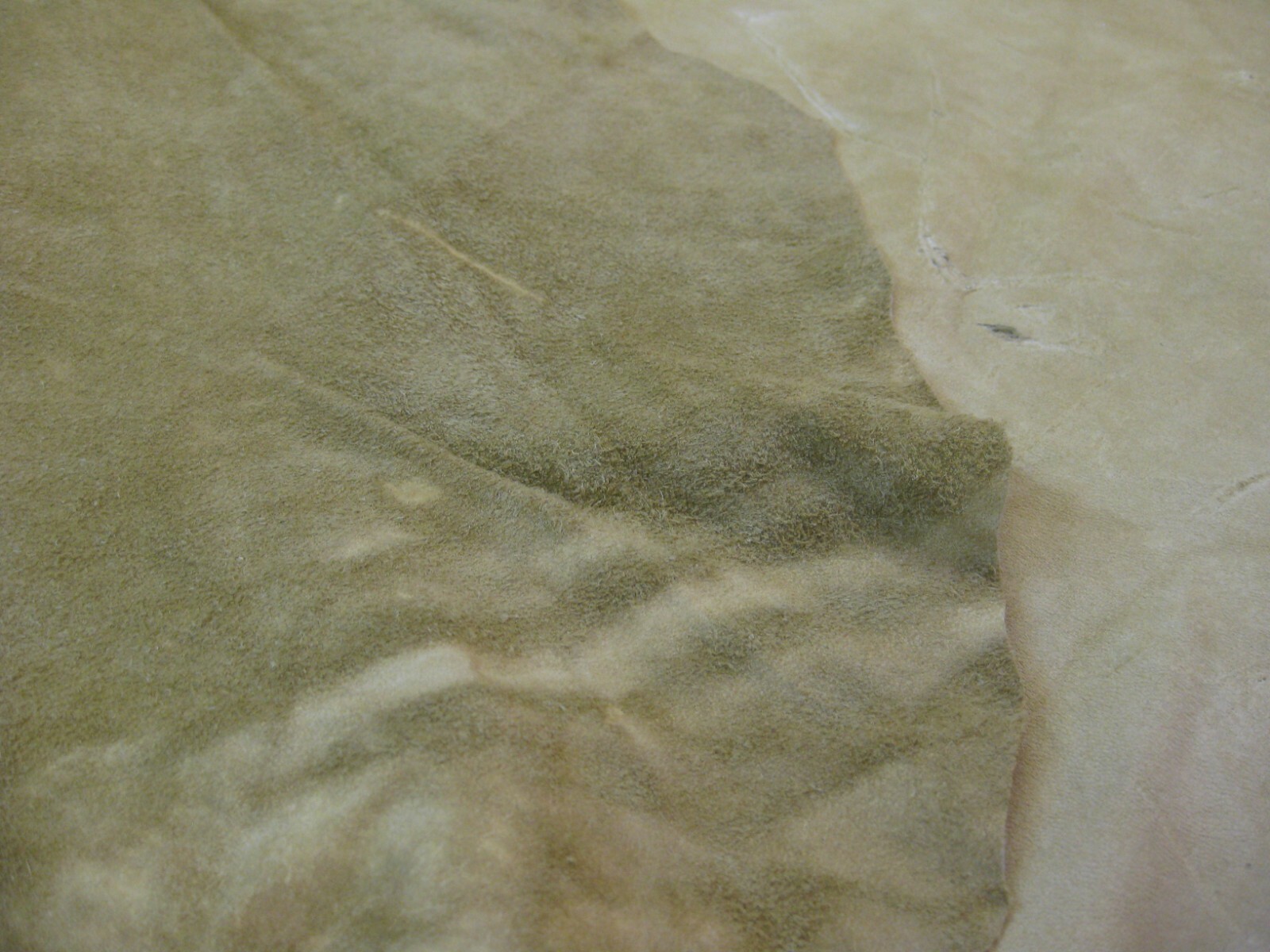 Top Grain Deer Leather # 0012429 ROW 77