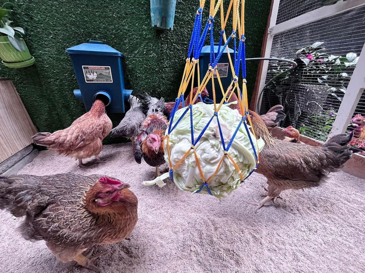 4-Gallon Automatic Chicken Waterer with Float Valve - No Refilling Needed!