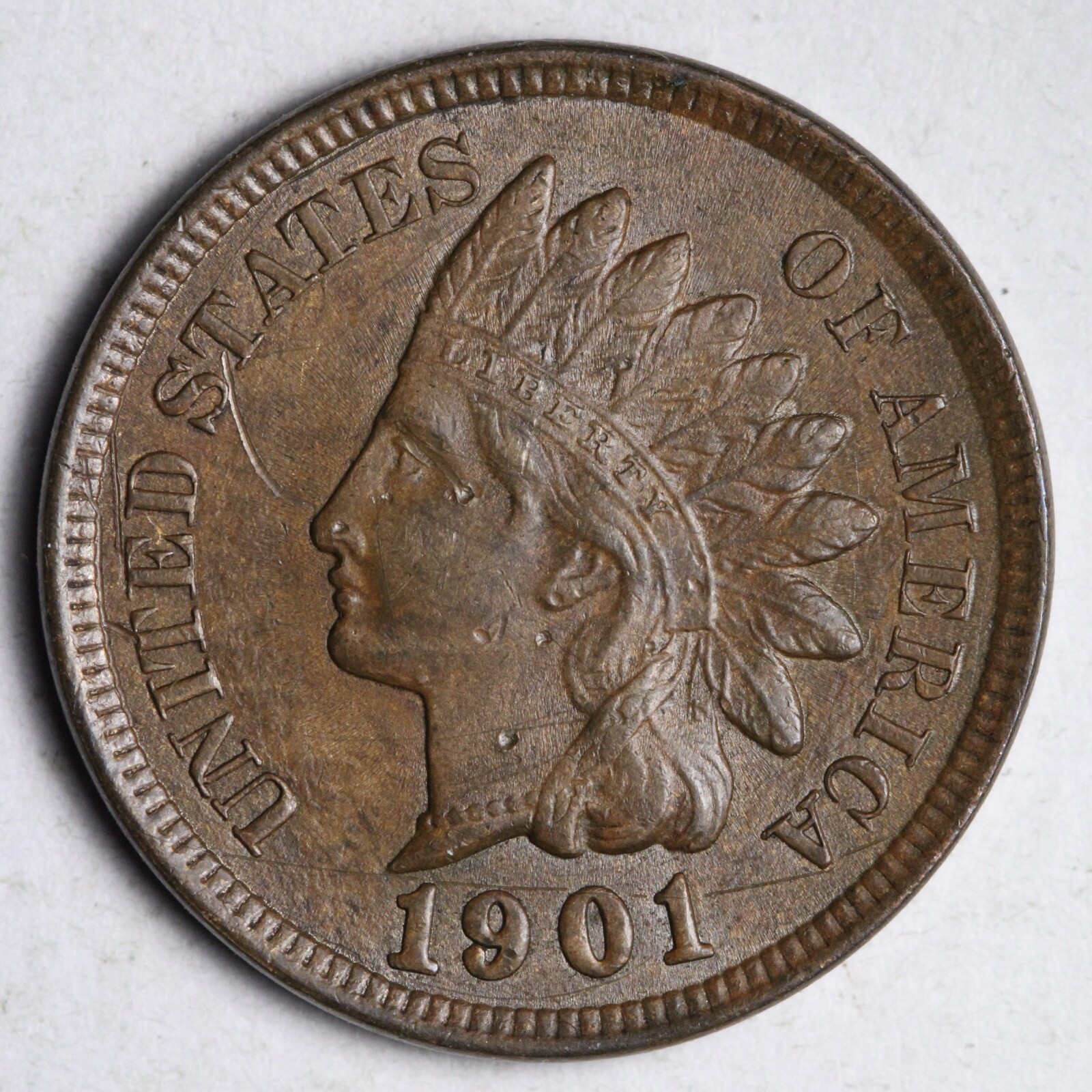 1901 Indian Head Cent Penny BU *UNCIRCULATED* MS E199 GCM