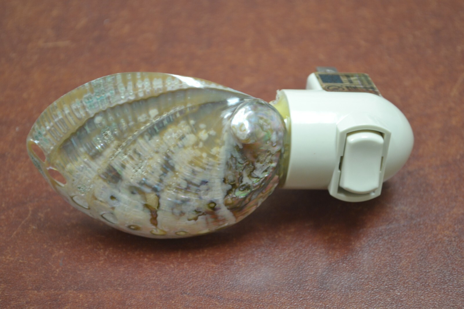 GREEN ABALONE SEA SHELL NIGHTLIGHT
