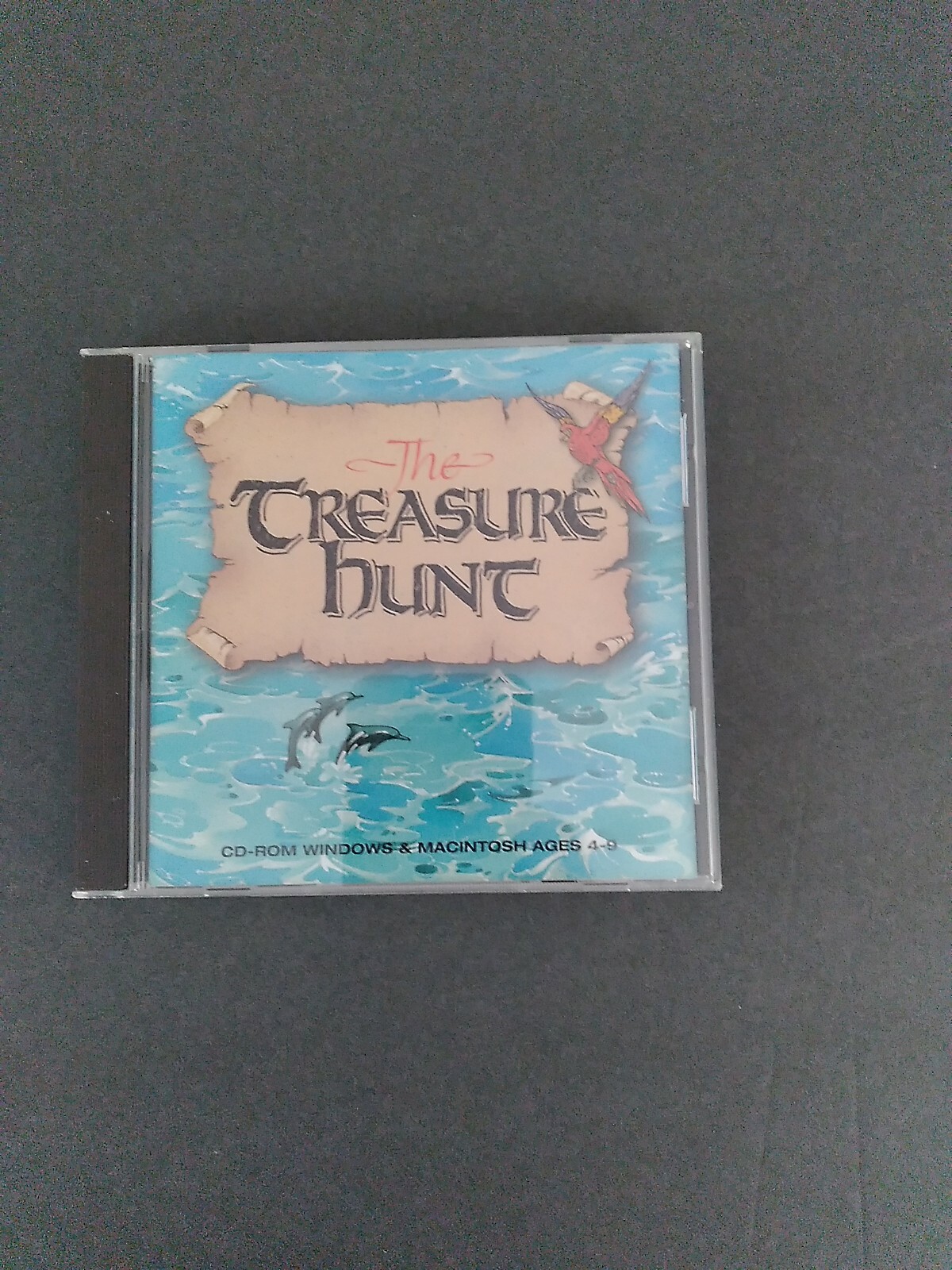 The Treasure Hunt PC MAC CD Amanda Wood children's story kids solve puzzles game