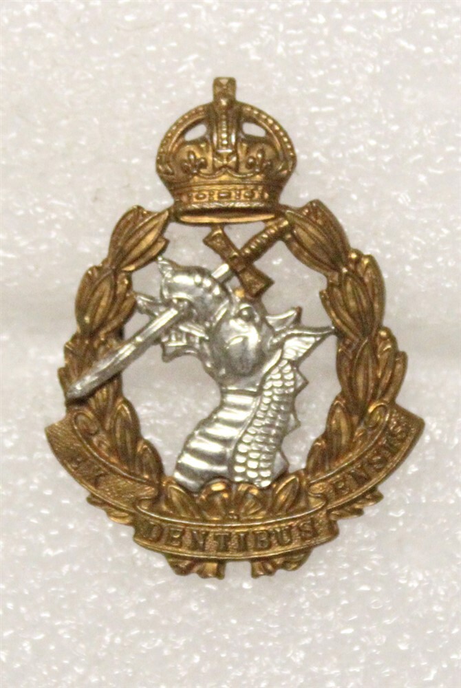 British Army Badge: The Royal Dental Corps - bi-metal