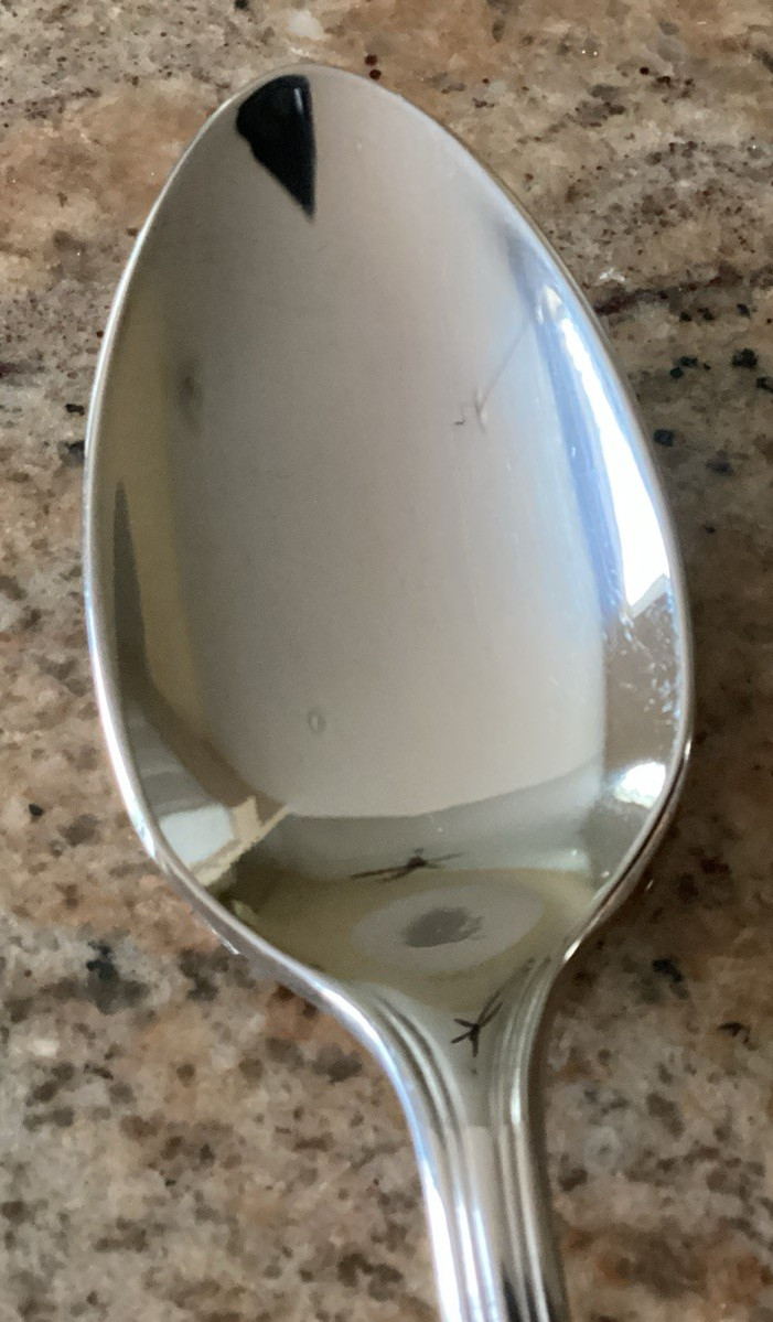 Gorham SHELL Stainless Soup Spoon (s) 18/8 Flatware 6 7/8" Japan Design Studio