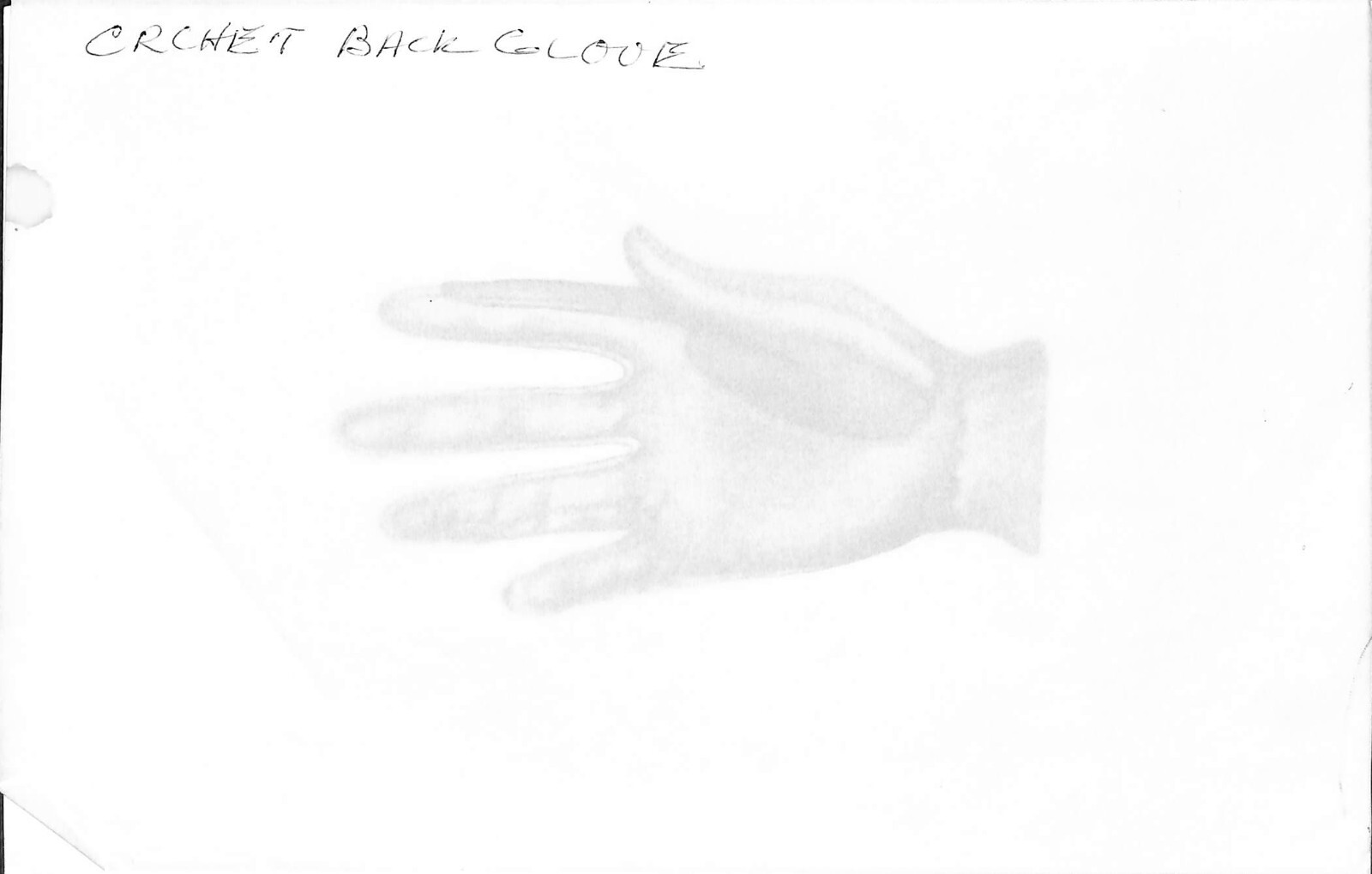 Crochet Back Glove Graphite Drawing