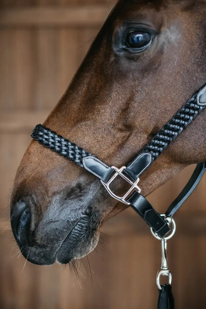 Dion WO Plaited Leather Halter