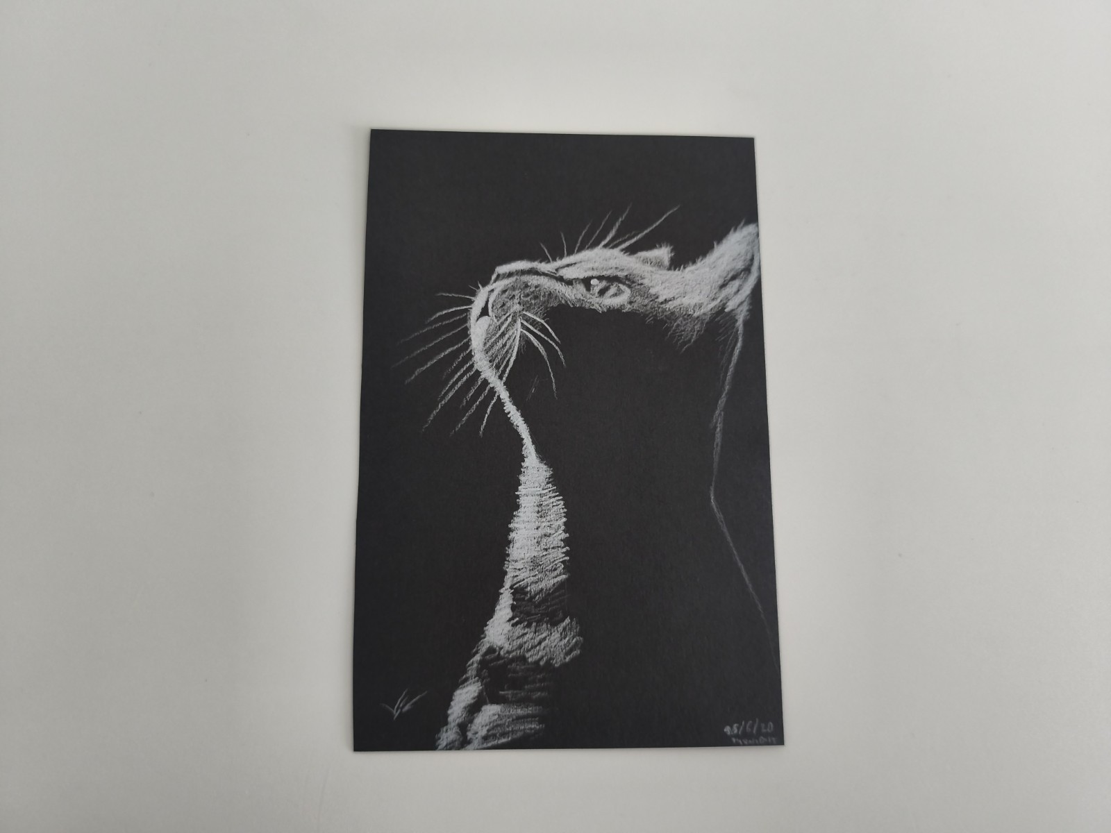 Cat Portrait Pencil Drawing By viC - unframed, Original, Signed