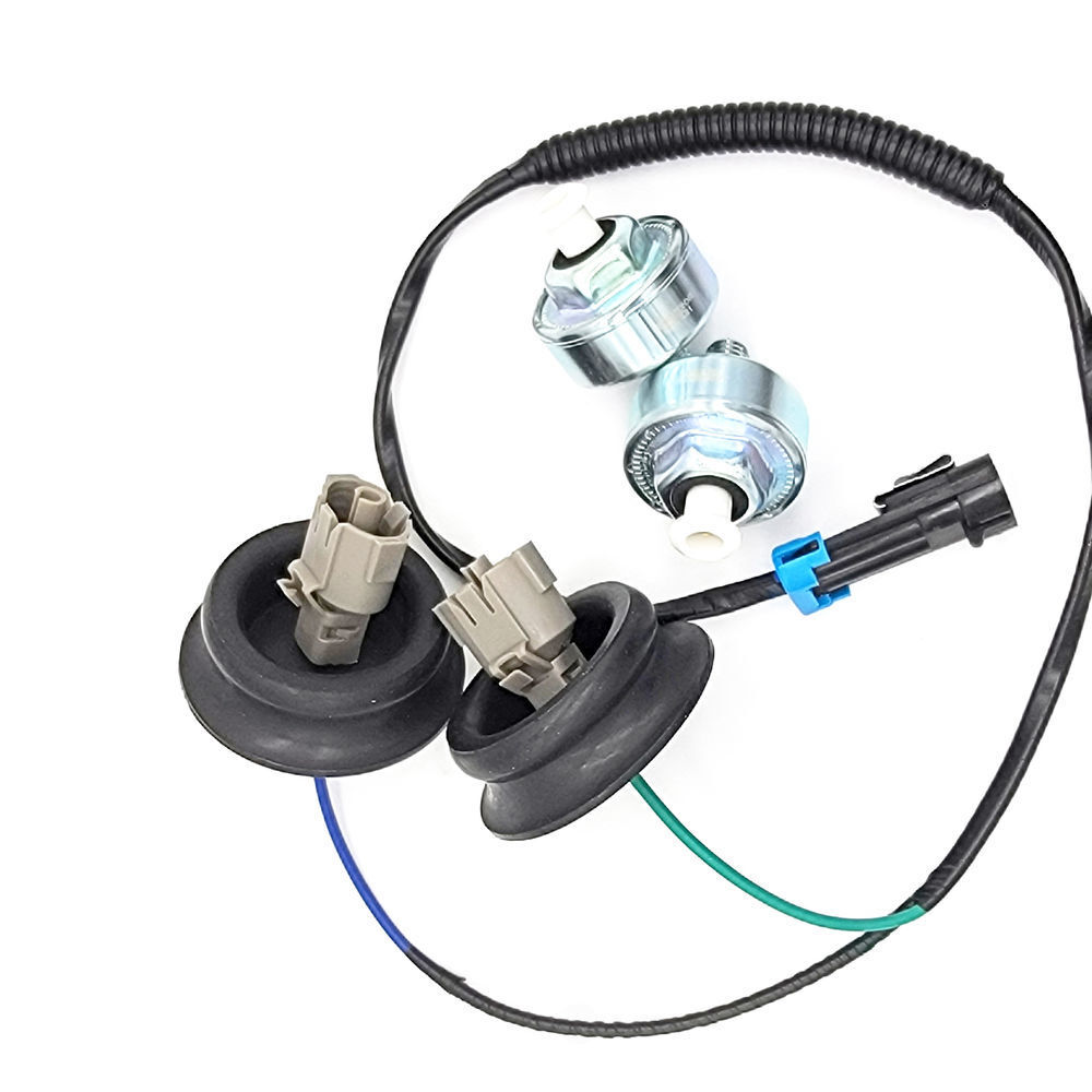 Knock Sensor   Holstein   2KNC0025KIT