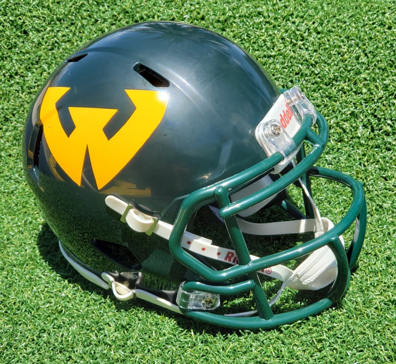 WAYNE STATE UNIV. (MICH) WARRIORS 2010-2022 FOOTBALL MINI HELMET