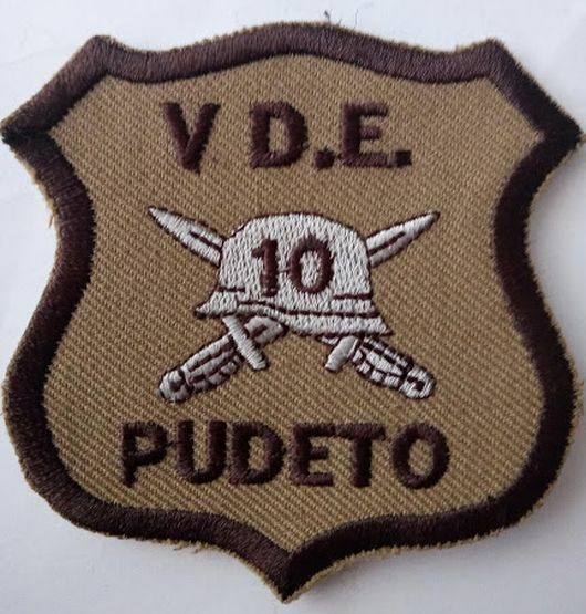 Chile Patch Army V Division de Ejercito - Pudeto