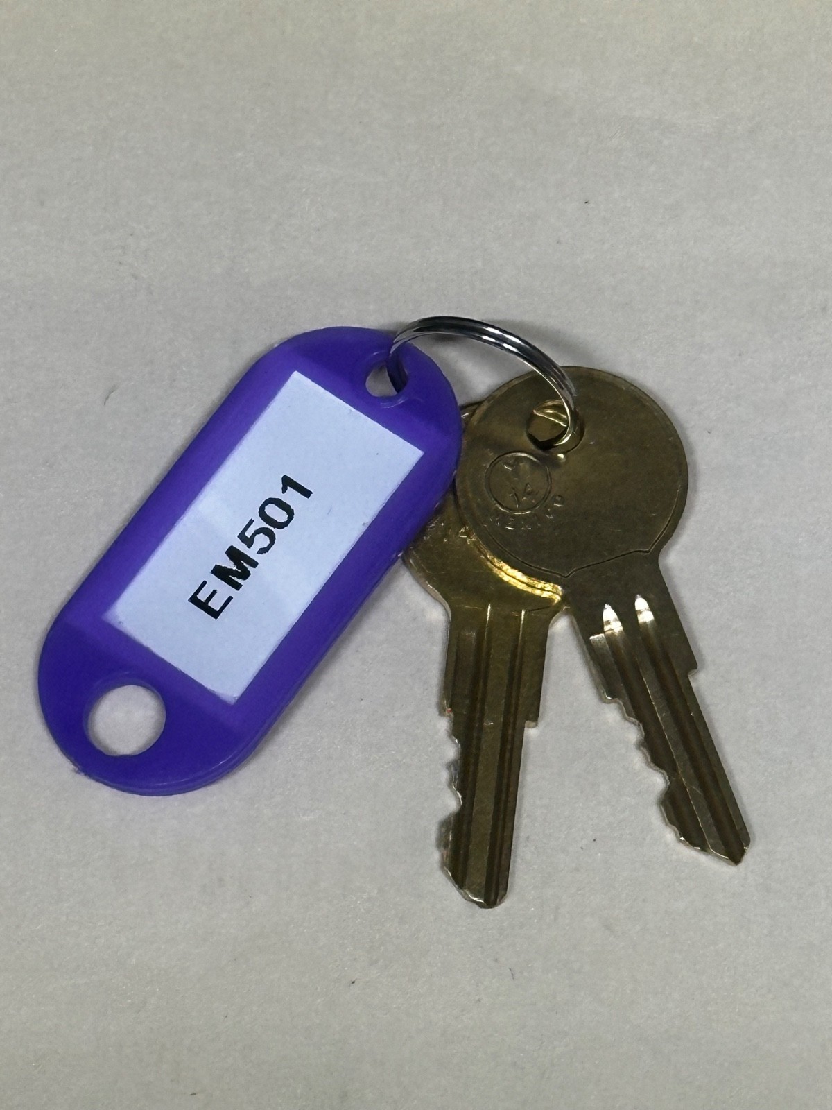 2 Toolbox Replacement Keys Cut to  Code EM501