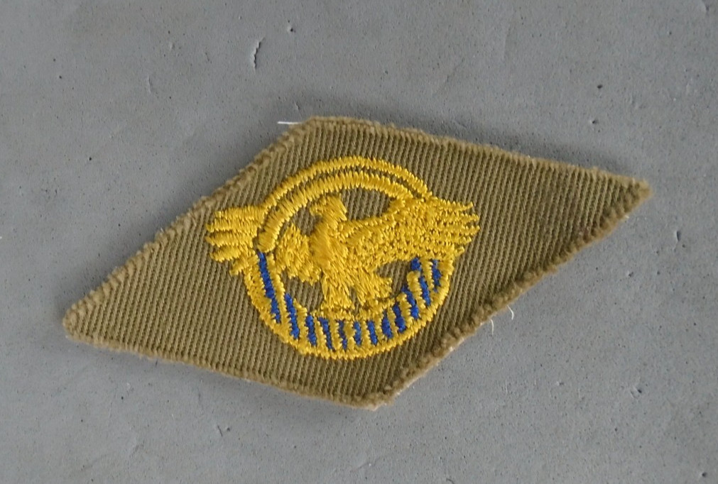 Ruptured duck patch on khaki with blue stripes