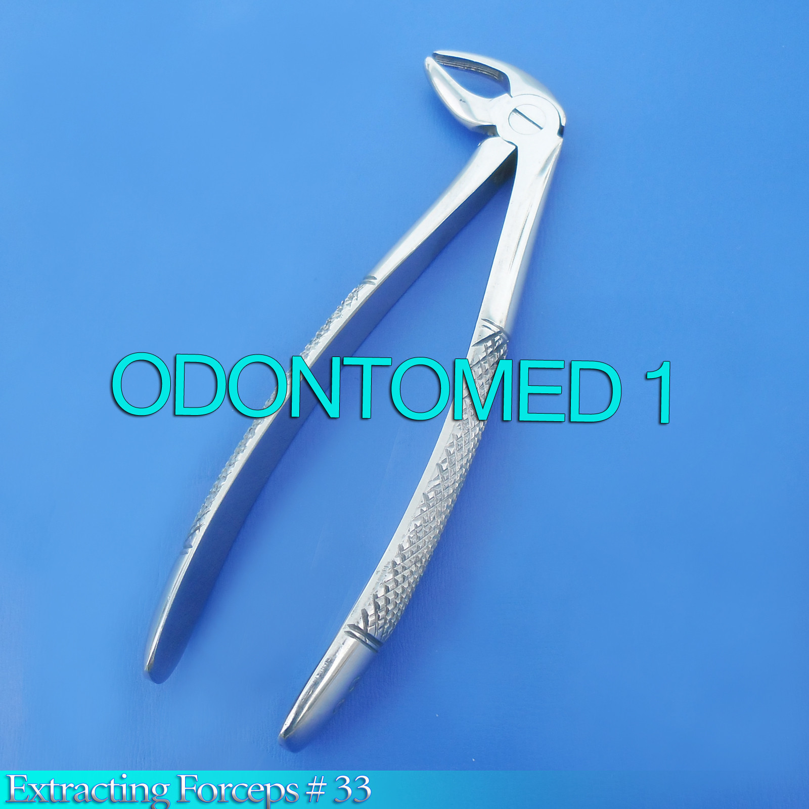 Extracting Forceps # 33 English Pattern Dental Instruments
