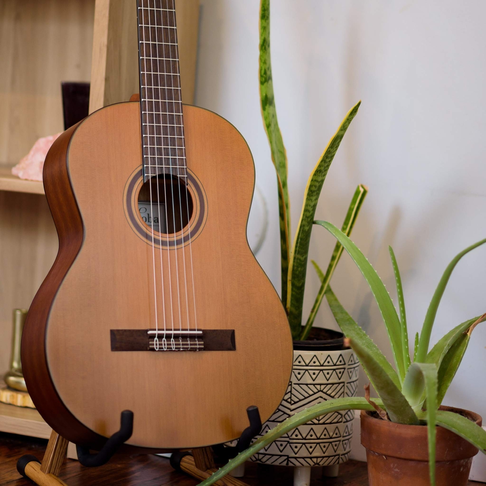 Cordoba C3M Classical Guitar Only Guitar