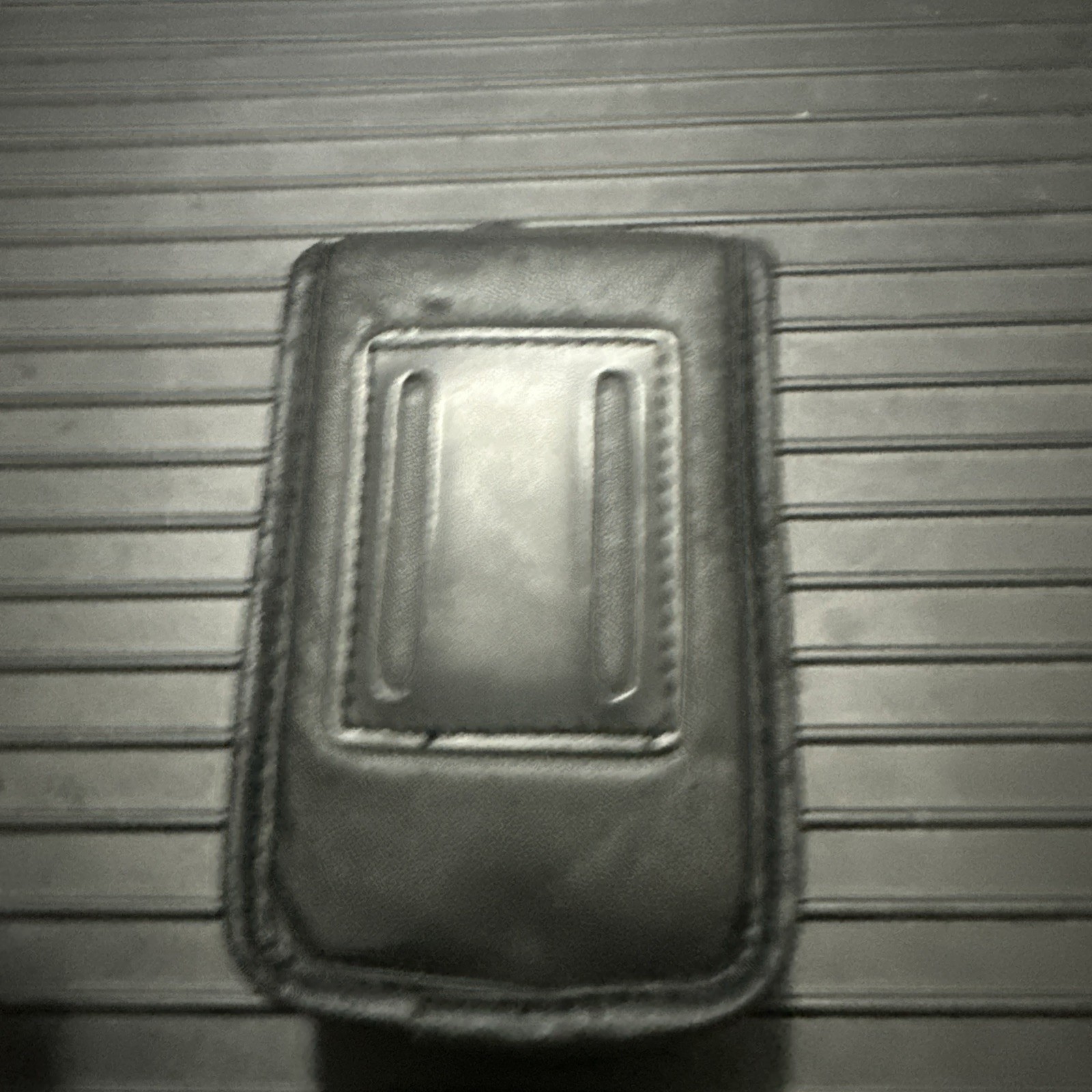 Olympus Camera Carrying Case