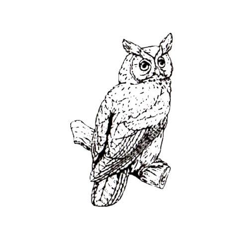 GREAT HORNED OWL unmounted rubber stamp, night bird of prey, Halloween #9