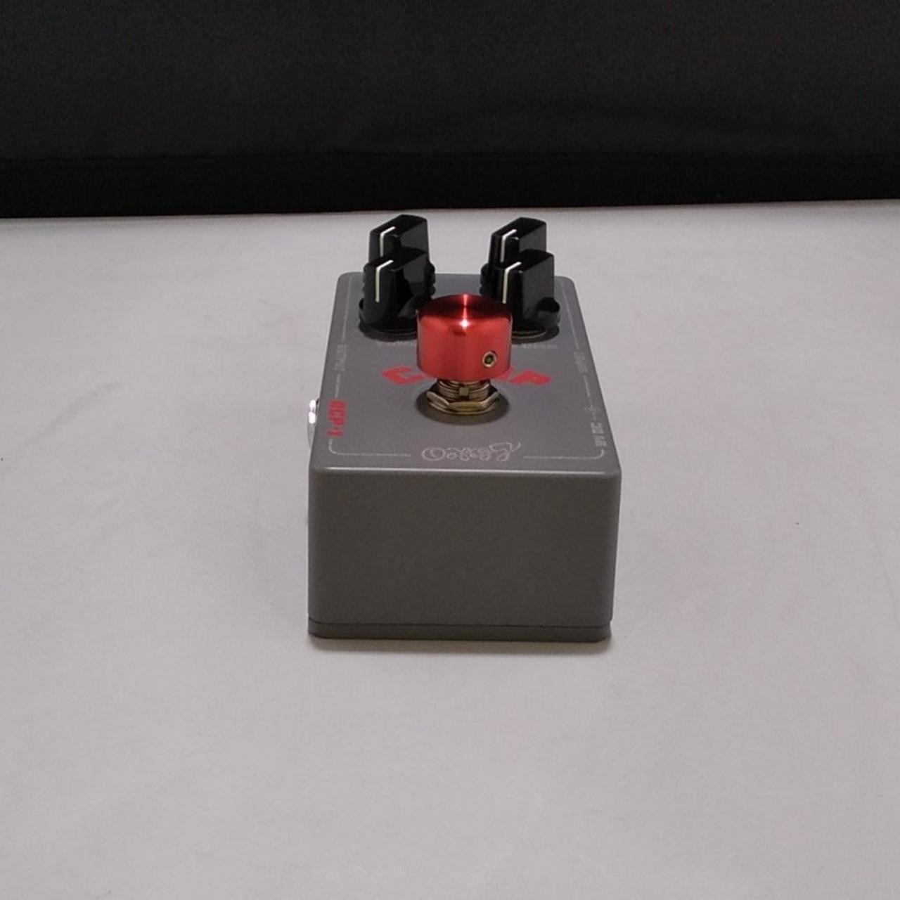 OOPEGG OCP-1 Effector