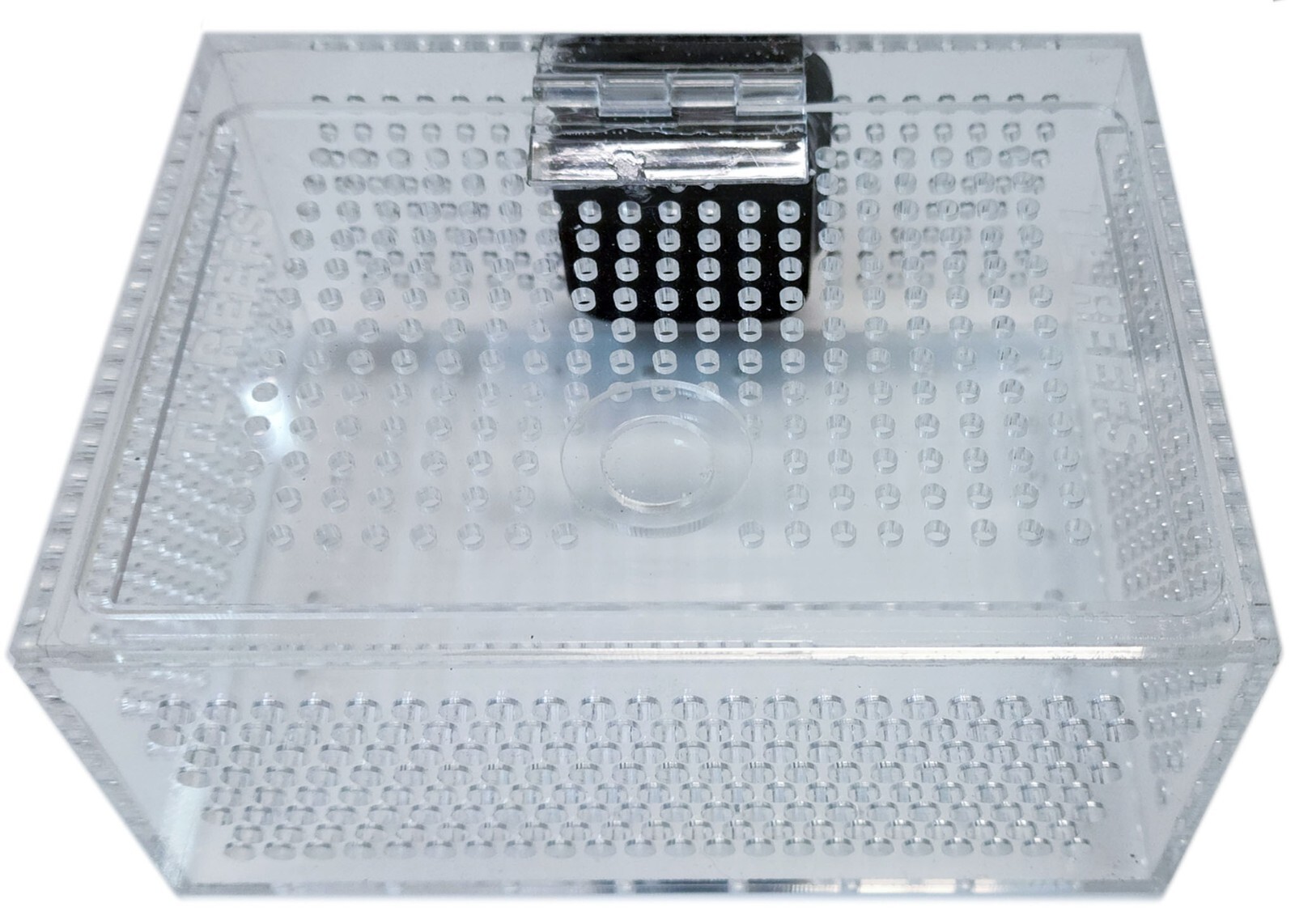 TL Reefs Mushroom Coral Acclimation Box
