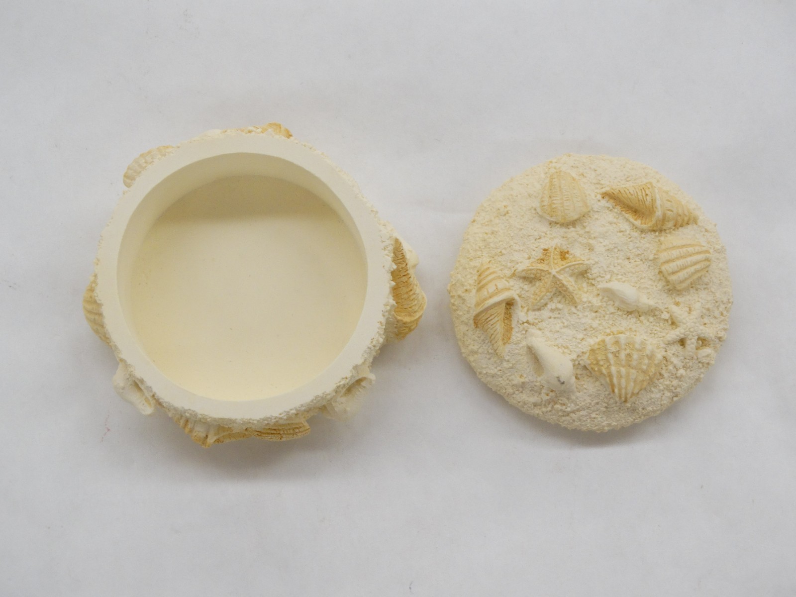 2 1/4" Diameter Composite Seashell Decorative Trinket Box