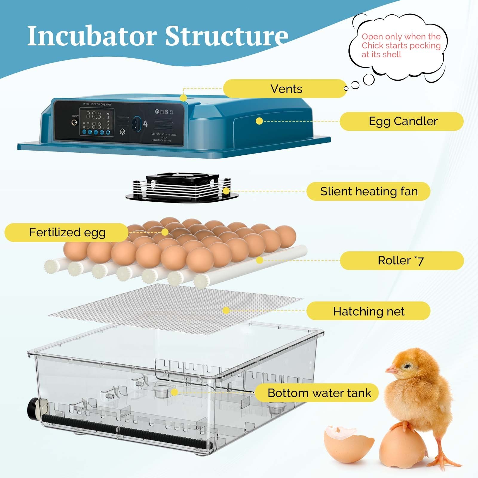 36 Eggs Digital Incubator Hatcher Temperature Control Fully Automatic Turning US
