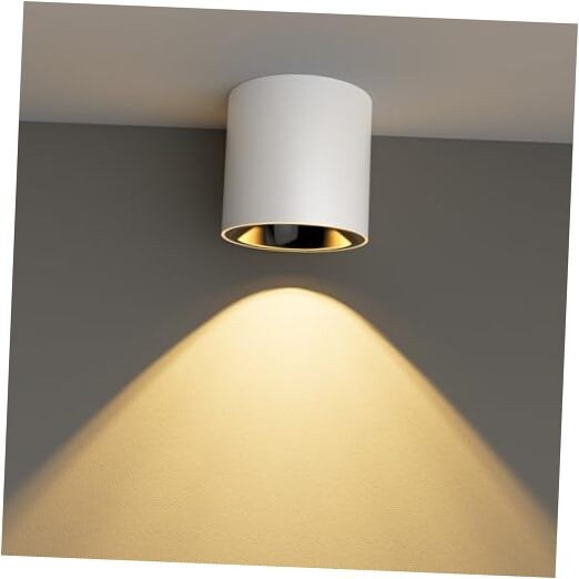 24 W LED Dimmable Ceiling Spot Light Aluminum 4.92'' Cylinder 1 Pack White