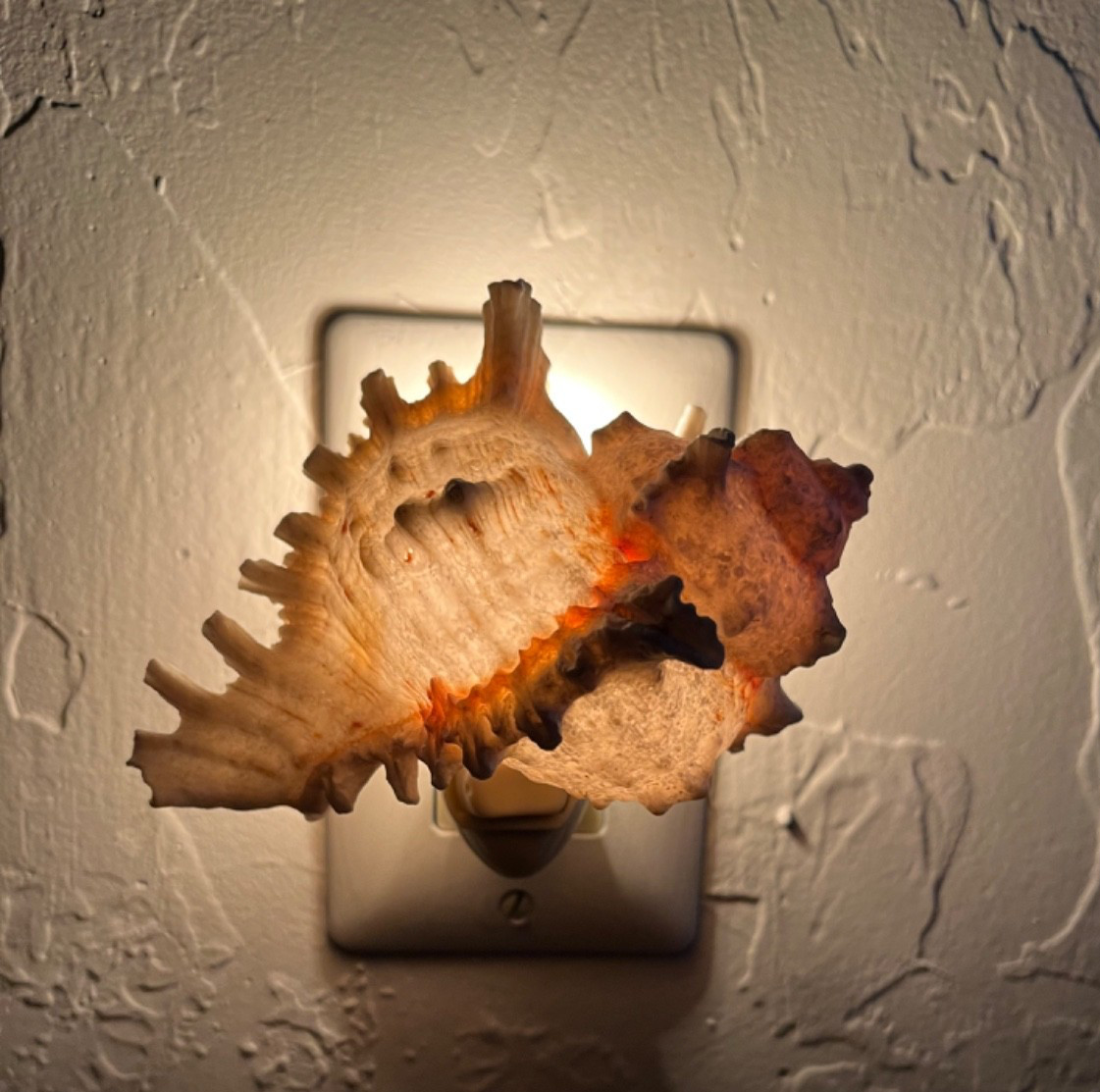 Vintage Conch Shell Night Light with Bulb 4.5" x 4" On/Off Switch