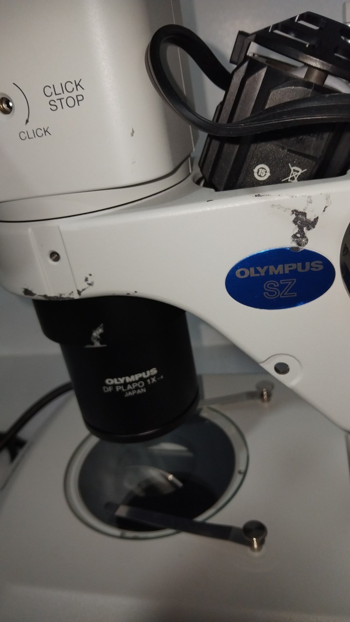 Olympus SZX7 Microscope