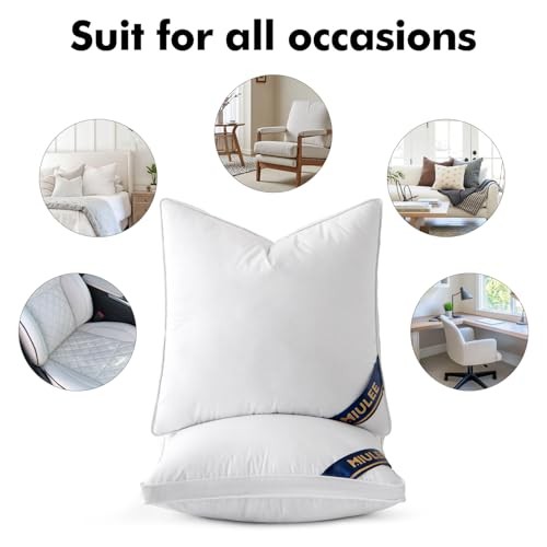 22x22 Feather Down Pillow Inserts with Gusset Bed 22x22 Inch (Pack of 2)
