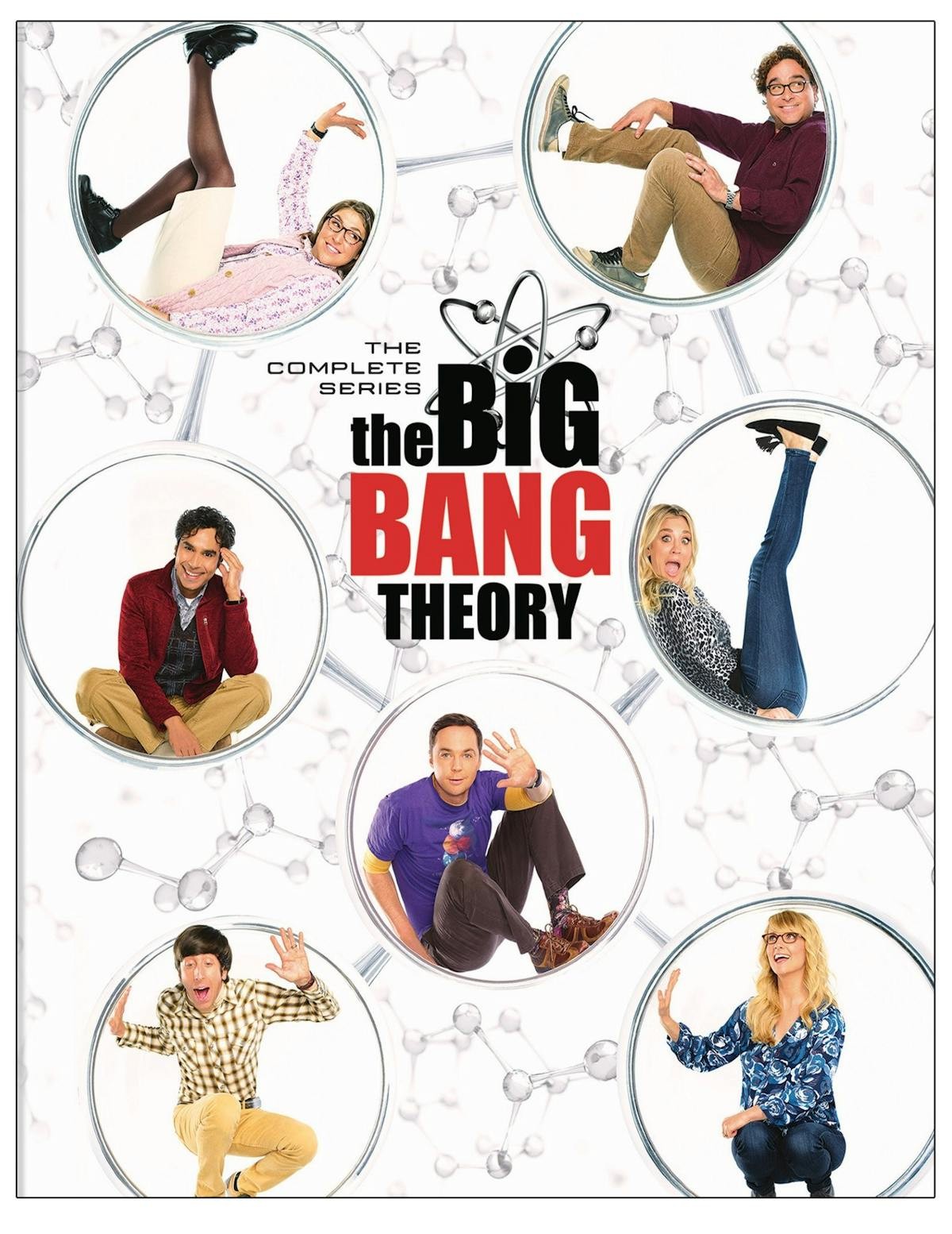 The Big Bang Theory The Complete Series DVD Johnny Galecki NEW
