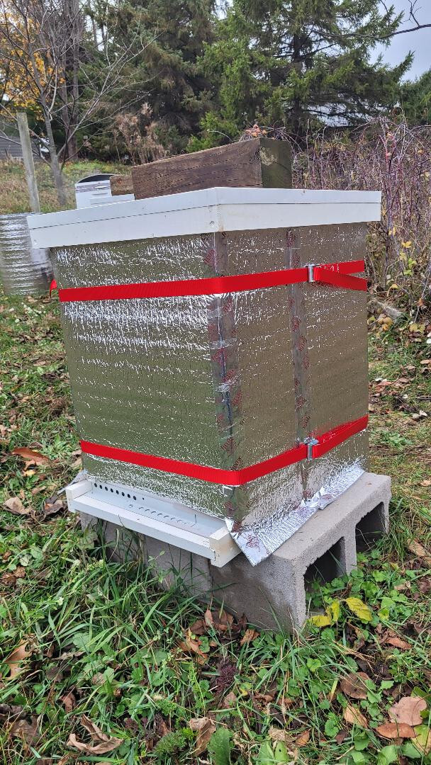 BEEHIVE DOG CAT Reflective Insulation Roll Foam Core Radiant Barrier R8 48" X 8'