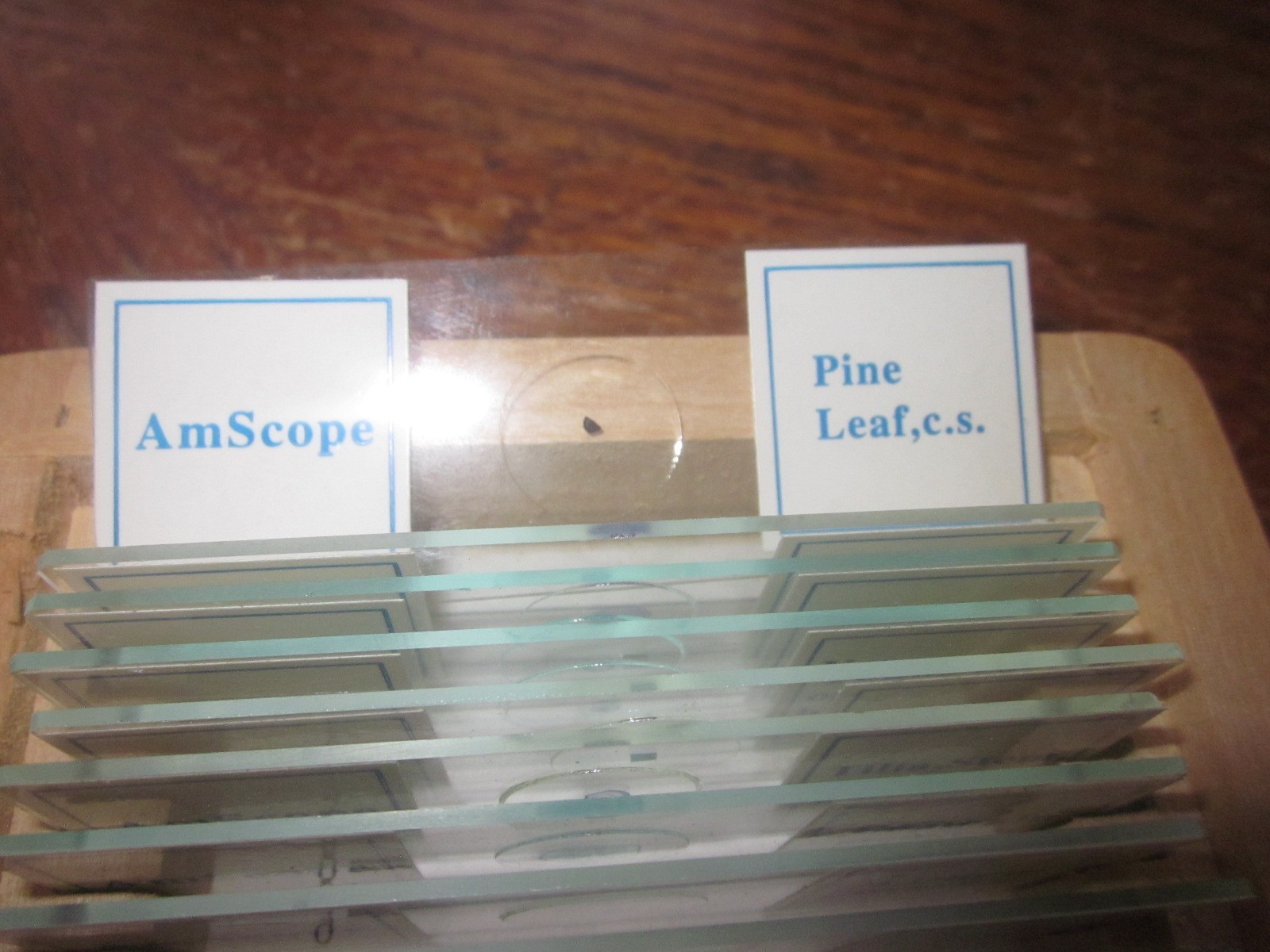 AmScope 25 PREPARED BIOLOGY MICROSCOPE SLIDES w/ Wooden Case