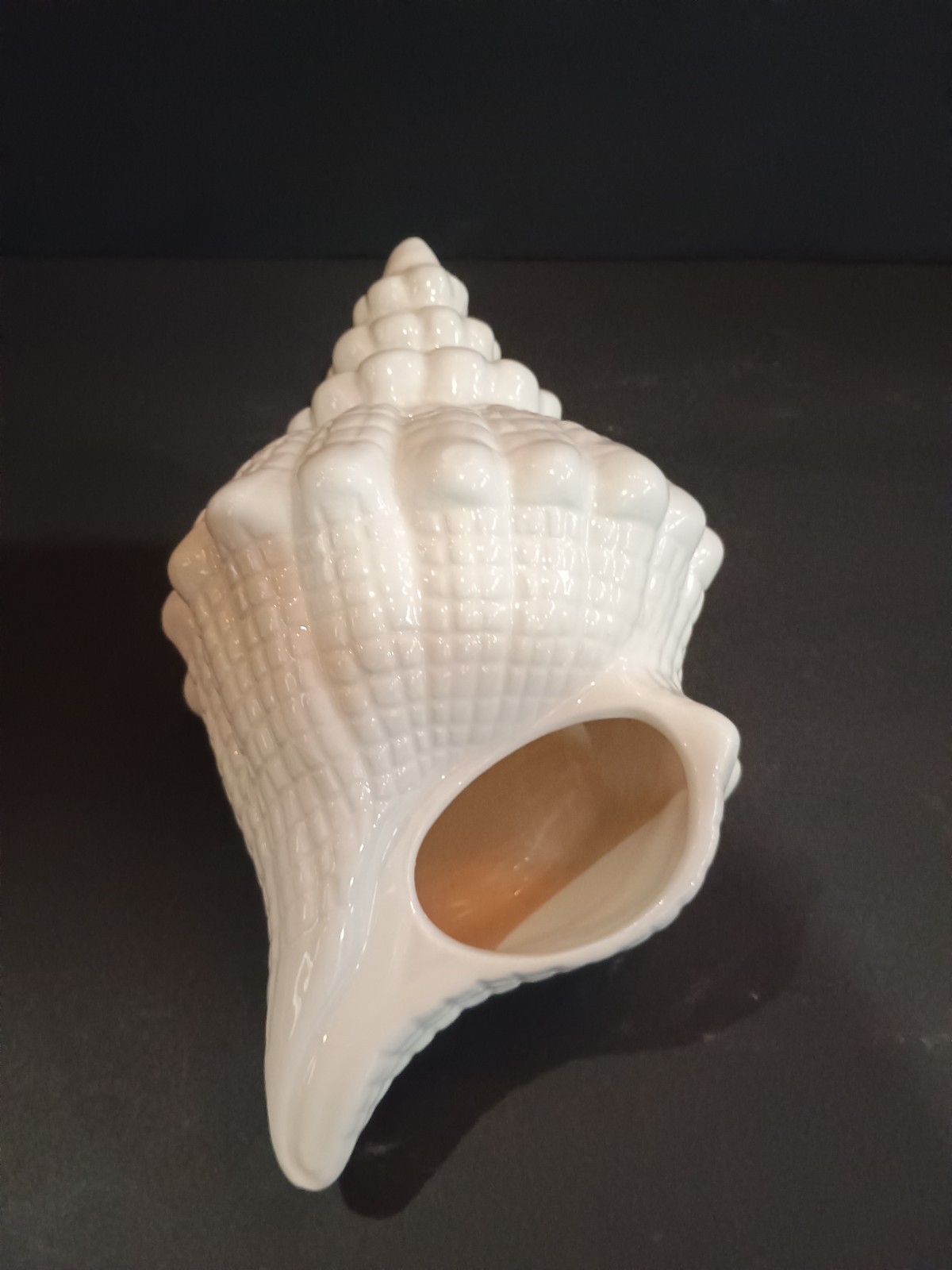 Seashell Planter Conch Shell Glazed Ceramic NEW Nautical Decor Cuffy's Cape Cod