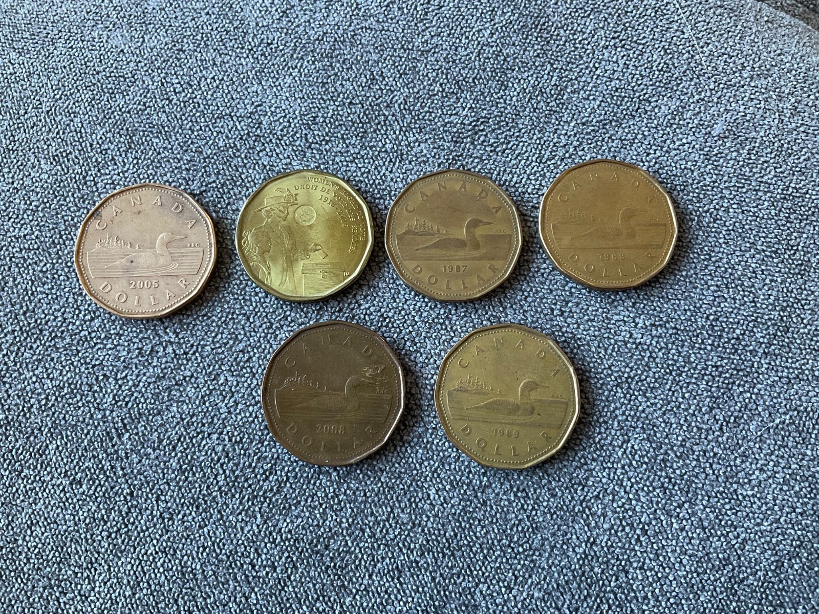 1987 to 2005 canadian loon dollar coins and 1 womens right to vote dollar coin