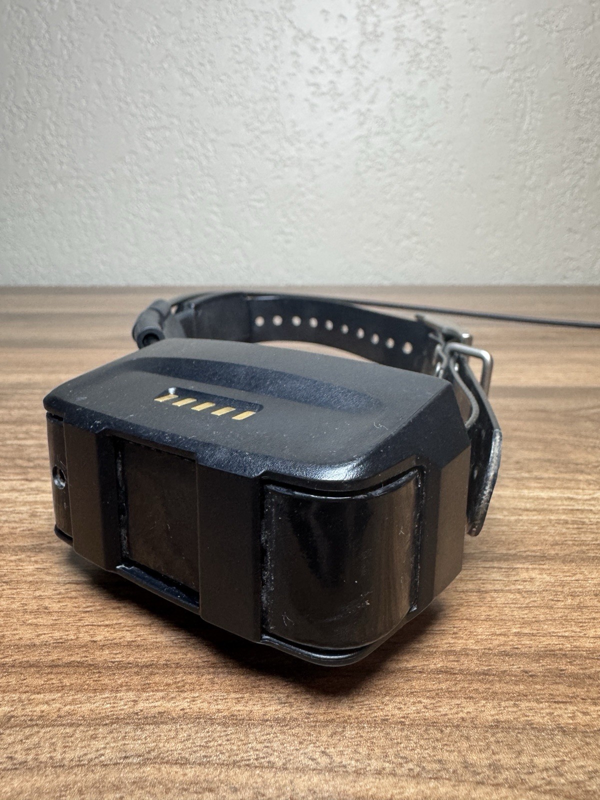 Garmin Alpha 100 TT15 GPS Dog Tracking Training System Bundle Case Extras