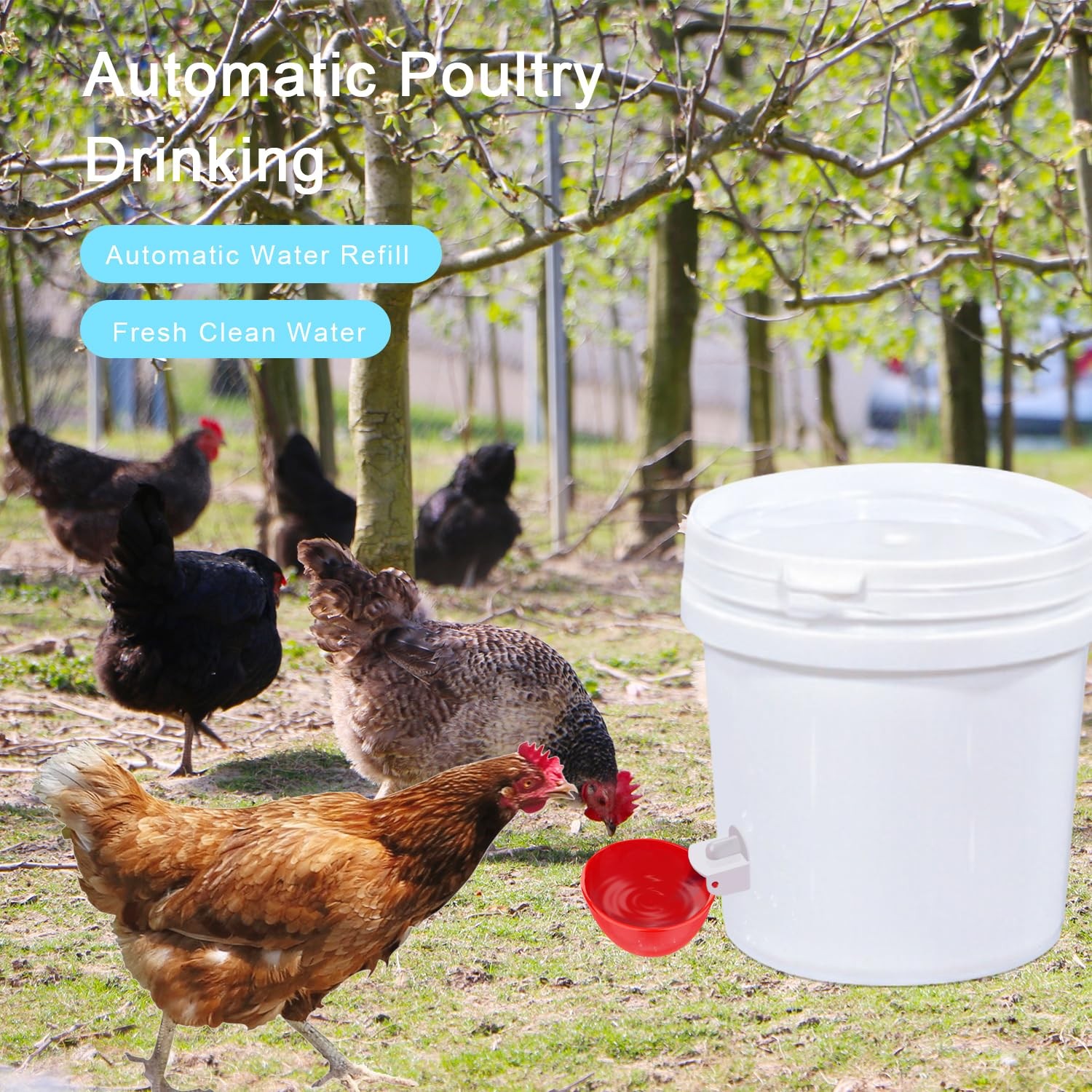 Large Automatic Chicken Waterer Cups 6 Pack Chicken Watering System Cups
