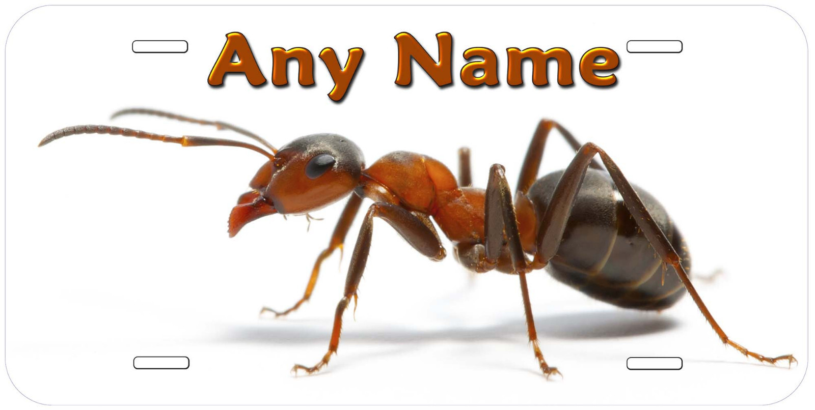 Formica Ant Any Name Personalized Novelty Car License Plate