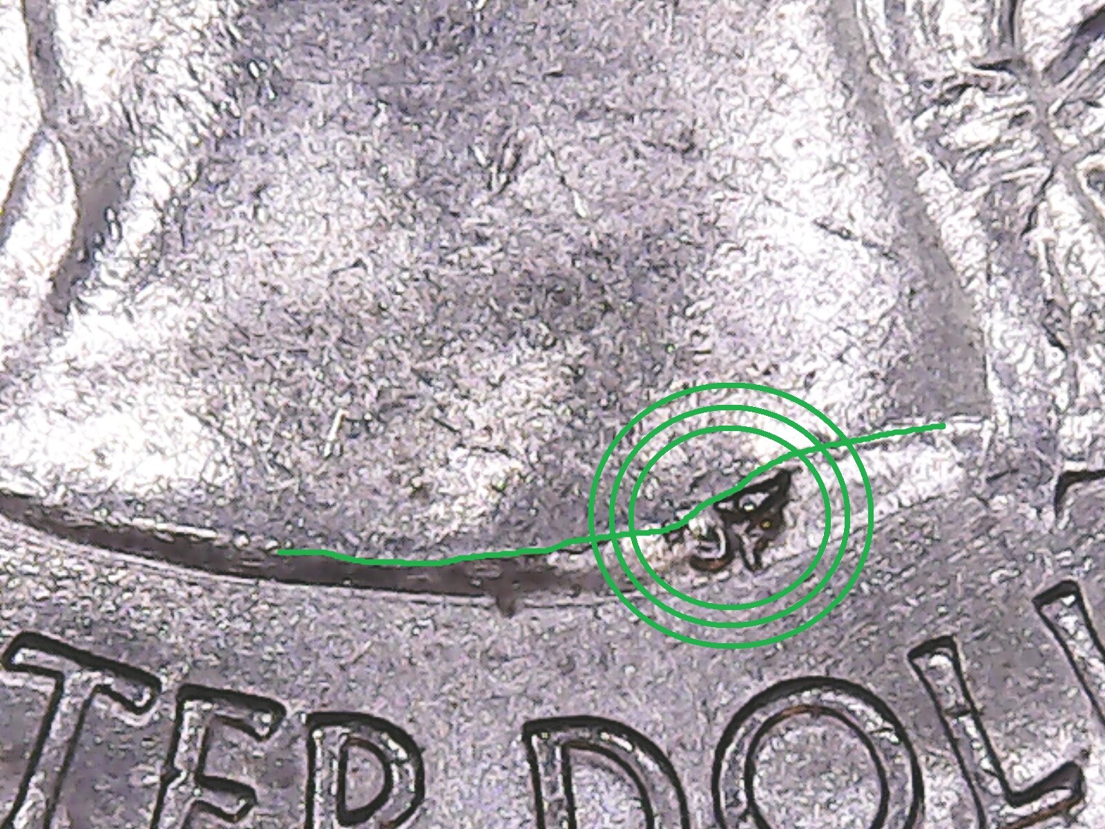 2017-P Frederick Douglass ATB Quarter WDDR-012 + Multiple Die Chips.