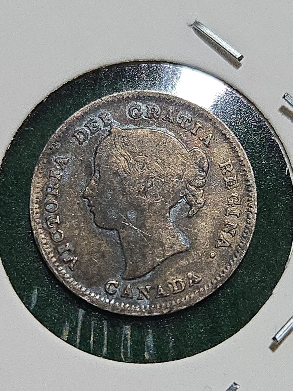 1901 Canada 5 Cents Silver! V2