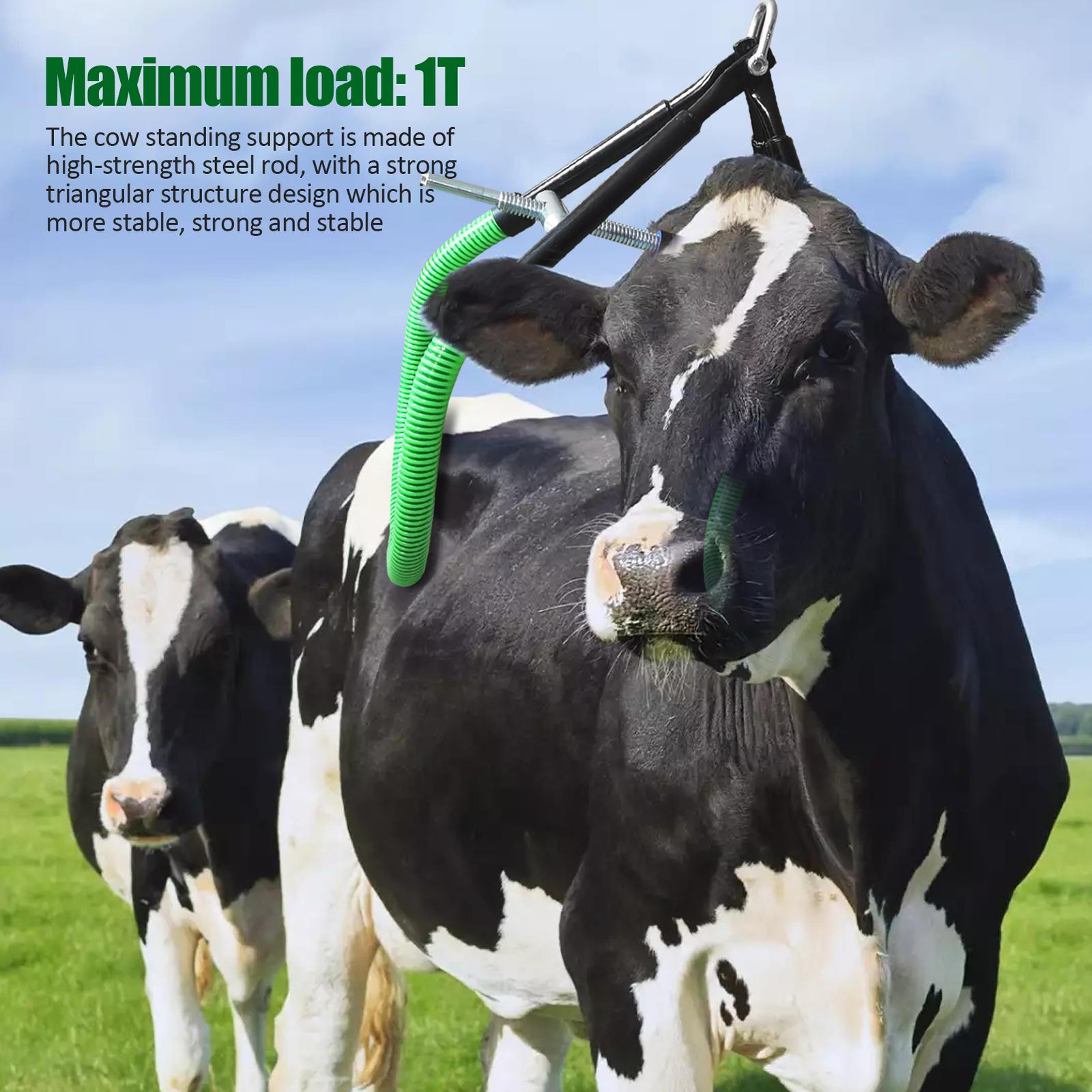 Cow Hip Lift OB Calving Milking Birthing Lame Cow 2200LB Adjustable Clamp New--