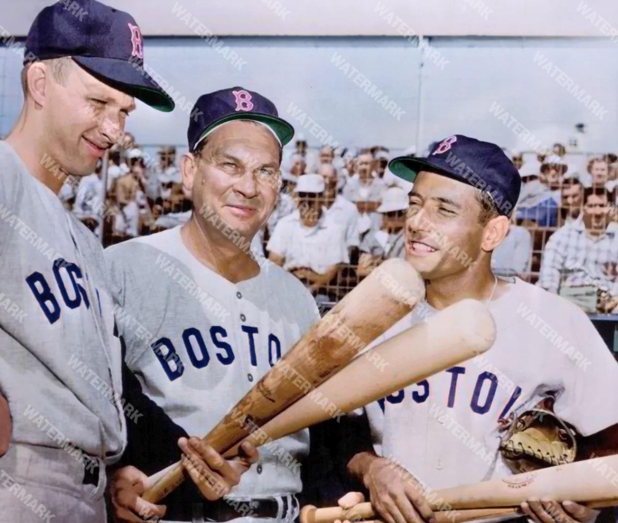 GW756 Stephens -Higgins -Piersall Red Sox 8x10 11x14 16x20 Colorized Photo