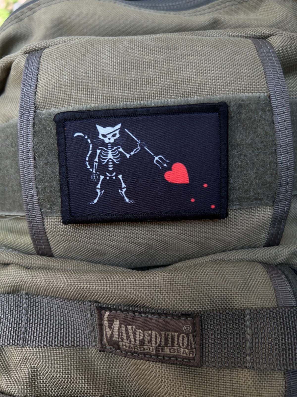 Cat Blackbeard Pirate Flag Morale Patch Tactical ARMY Hook Military USA